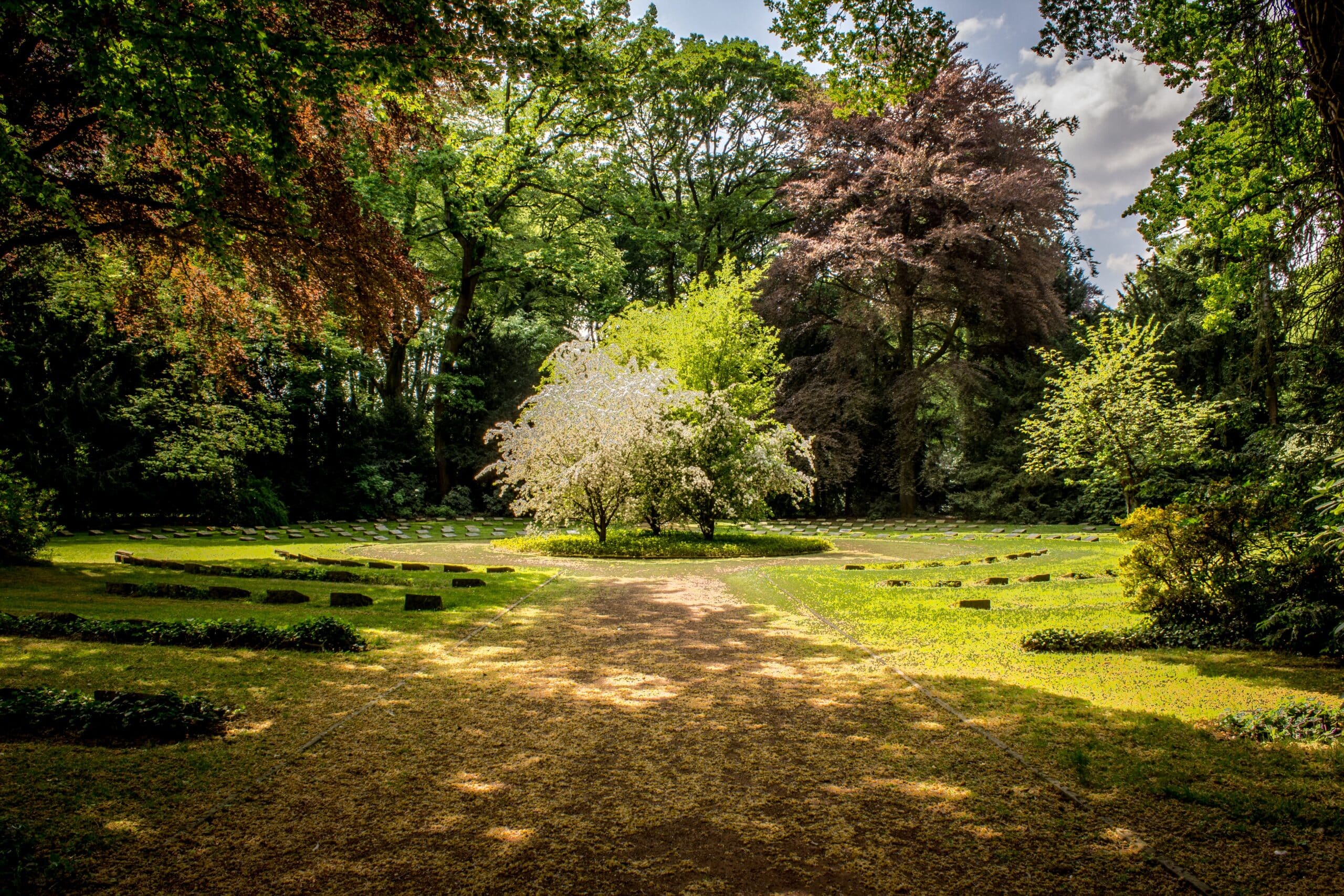 Transform Your Landscape with Professional Stubfræsning from Total Træfældning